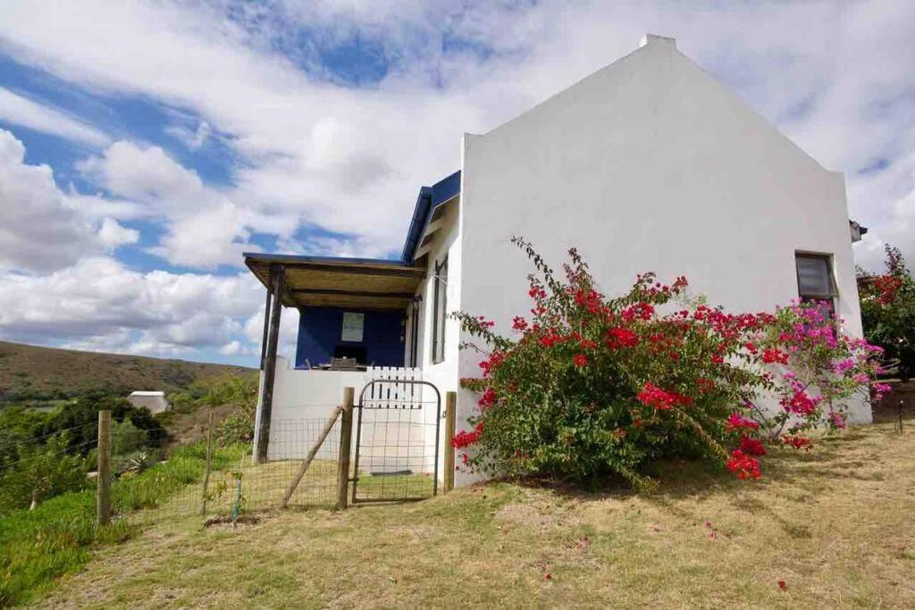 Riverdance Cottage Malgas 외부 사진